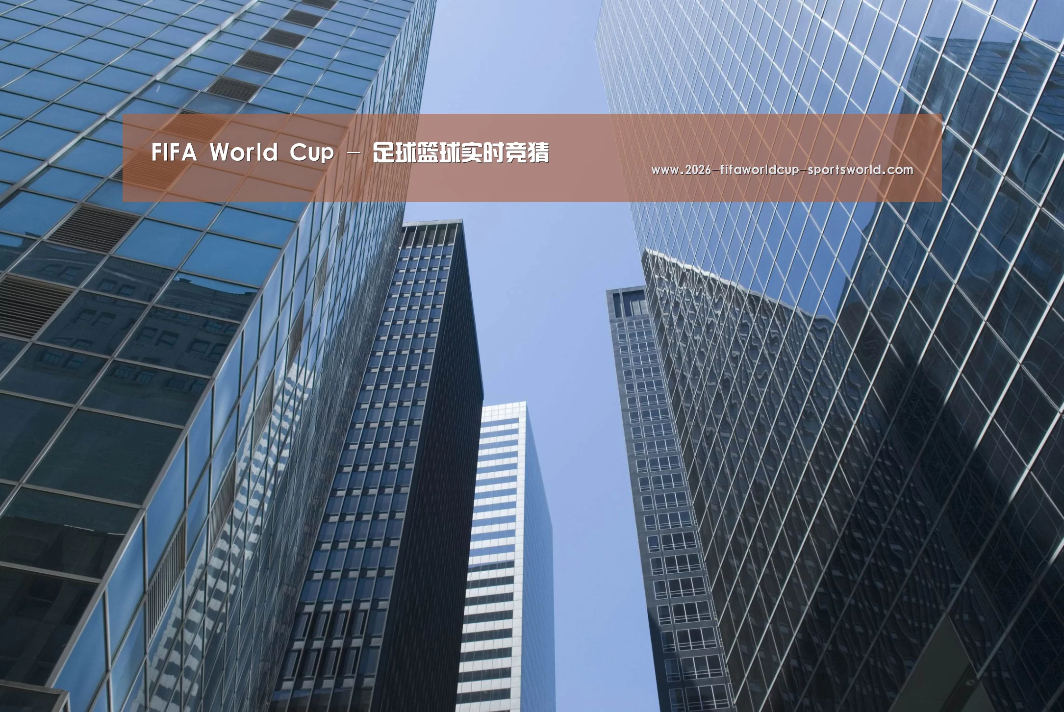 FIFA World Cup公司简介 