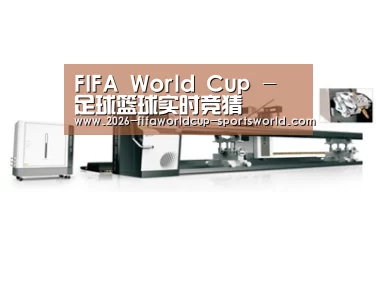 视频展示一