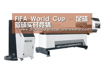 案例展示三