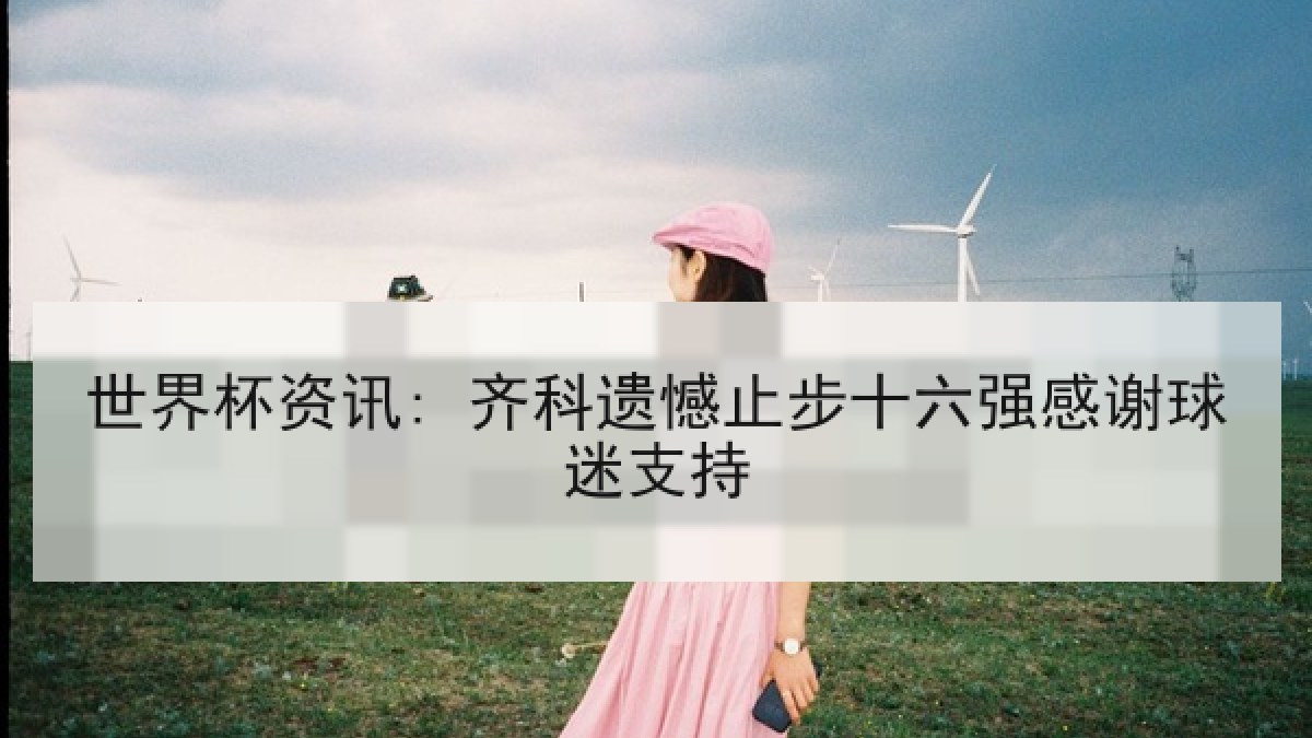 世界杯资讯: 齐科遗憾止步十六强感谢球迷支持