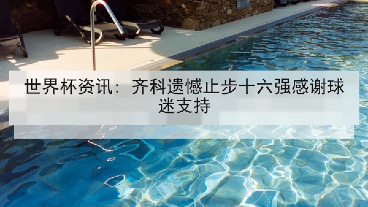 世界杯资讯: 齐科遗憾止步十六强感谢球迷支持