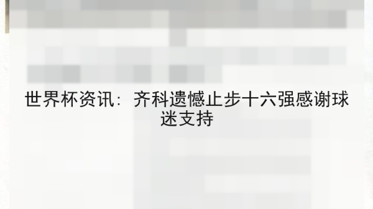 世界杯资讯: 齐科遗憾止步十六强感谢球迷支持