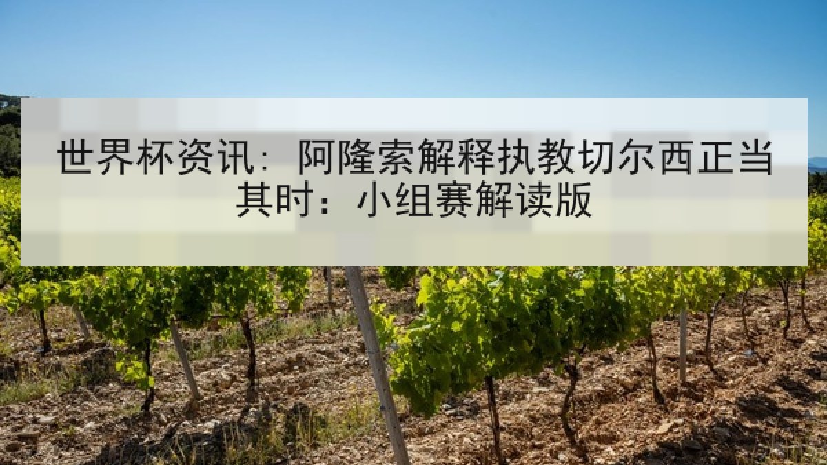 世界杯资讯: 阿隆索解释执教切尔西正当其时：小组赛解读版