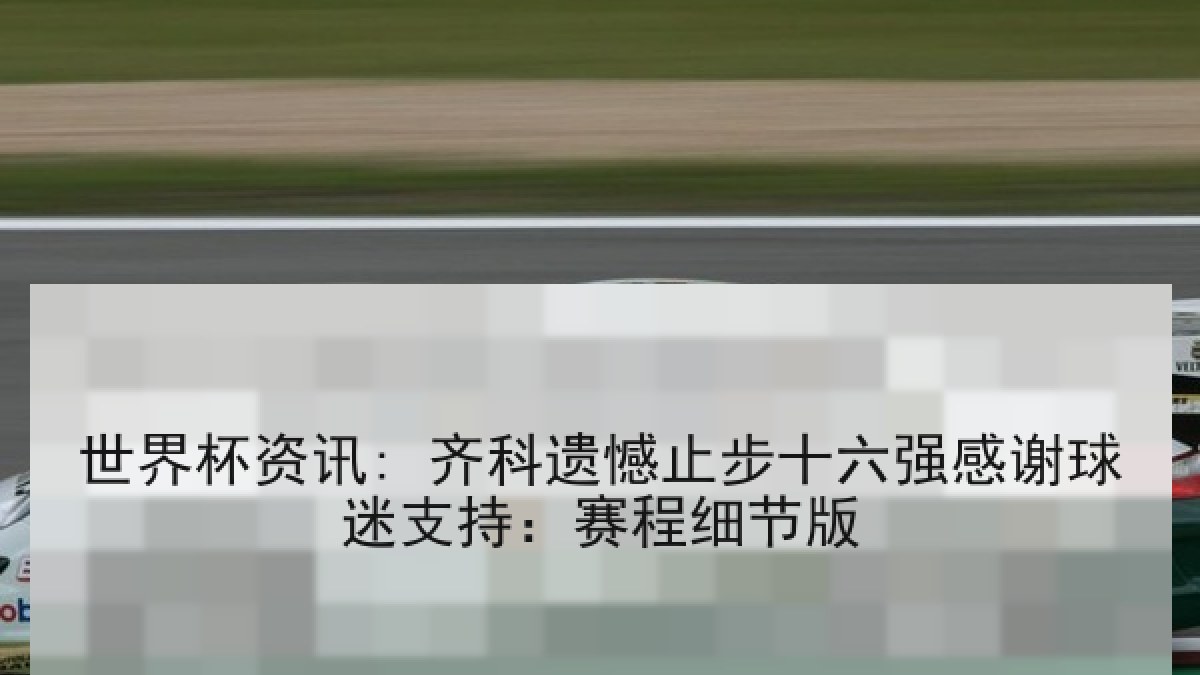 世界杯资讯: 齐科遗憾止步十六强感谢球迷支持：赛程细节版