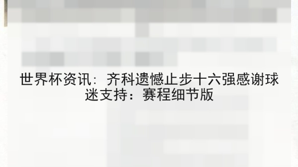 世界杯资讯: 齐科遗憾止步十六强感谢球迷支持：赛程细节版