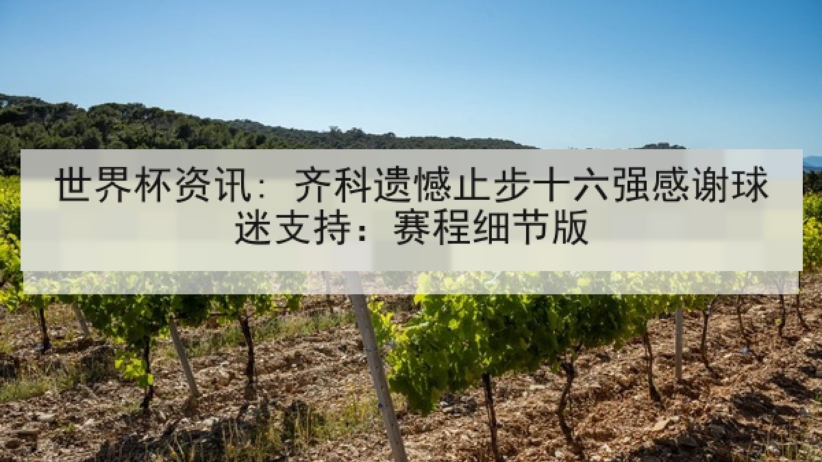 世界杯资讯: 齐科遗憾止步十六强感谢球迷支持：赛程细节版
