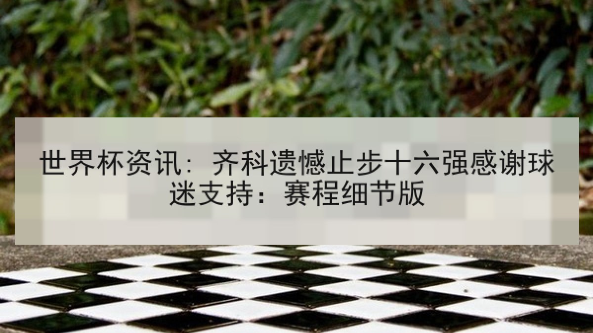 世界杯资讯: 齐科遗憾止步十六强感谢球迷支持：赛程细节版
