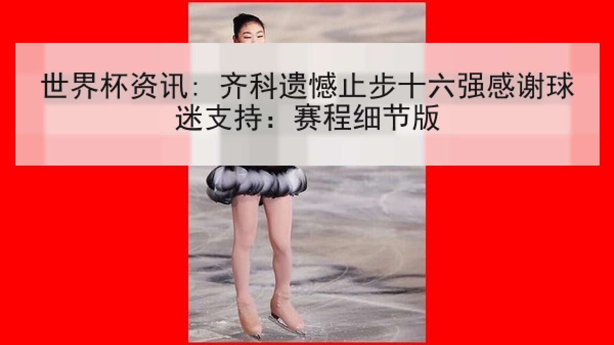 世界杯资讯: 齐科遗憾止步十六强感谢球迷支持：赛程细节版
