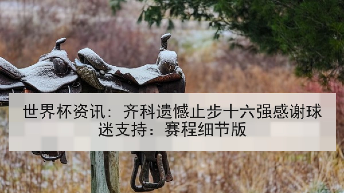 世界杯资讯: 齐科遗憾止步十六强感谢球迷支持：赛程细节版