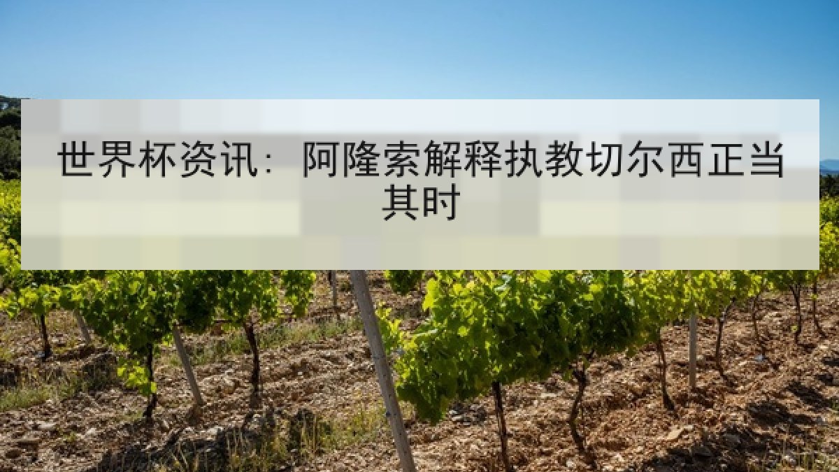 世界杯资讯: 阿隆索解释执教切尔西正当其时