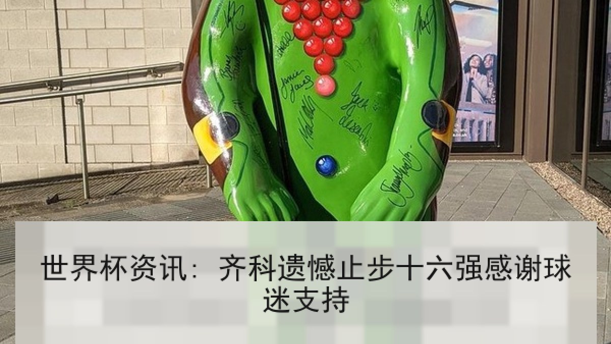 世界杯资讯: 齐科遗憾止步十六强感谢球迷支持