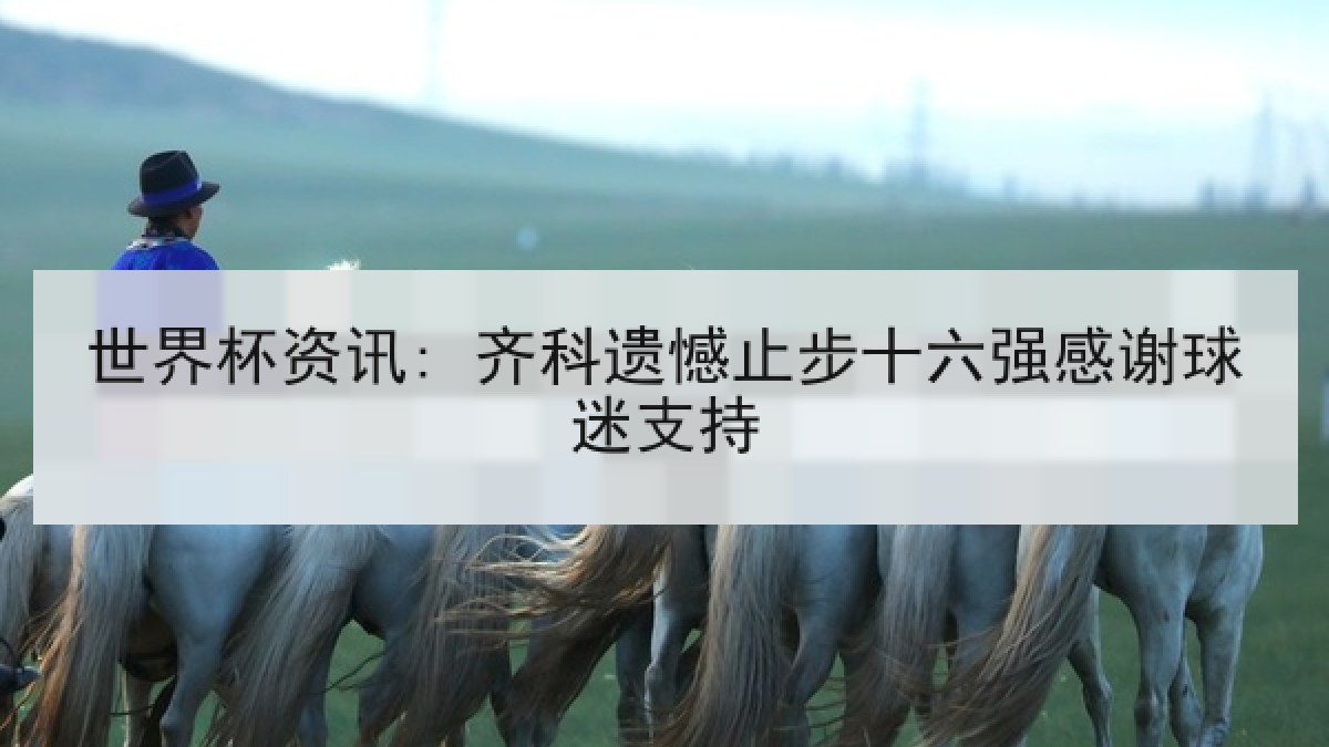 世界杯资讯: 齐科遗憾止步十六强感谢球迷支持
