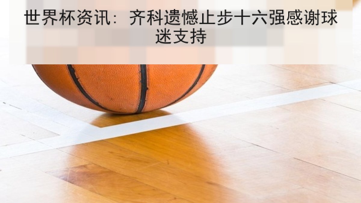 世界杯资讯: 齐科遗憾止步十六强感谢球迷支持