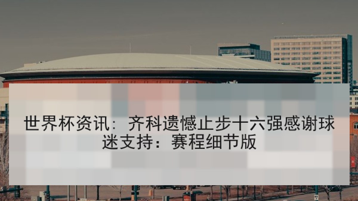世界杯资讯: 齐科遗憾止步十六强感谢球迷支持：赛程细节版