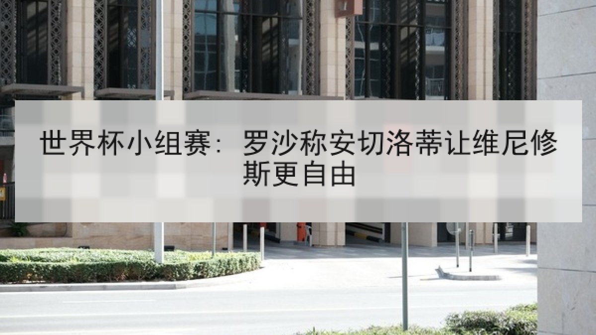 世界杯小组赛: 罗沙称安切洛蒂让维尼修斯更自由