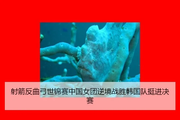 she-jian-fan-qu-gong-shi-jin-sai-zhong-guo-nv-tuan-ni-jing-zhan-sheng-han-guo-dui-ting-jin-jue-sai-2-502.jpg
