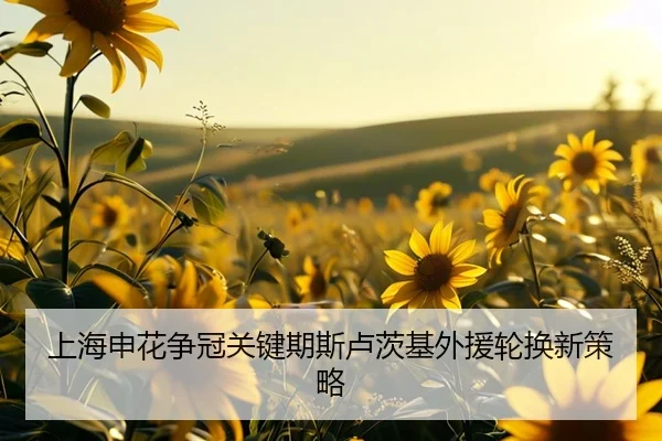 上海申花争冠关键期斯卢茨基外援轮换新策略